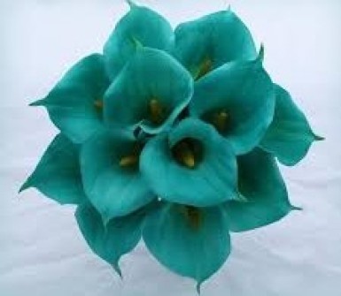 cropped-cropped-cropped-teal-flowers12.jpeg