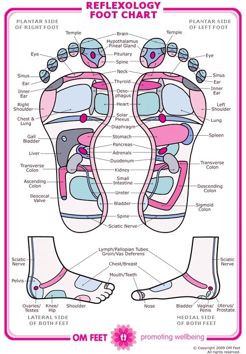 Ovaries Reflexology Foot Chart